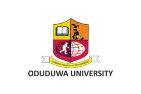 How Much is Oduduwa University School Fees